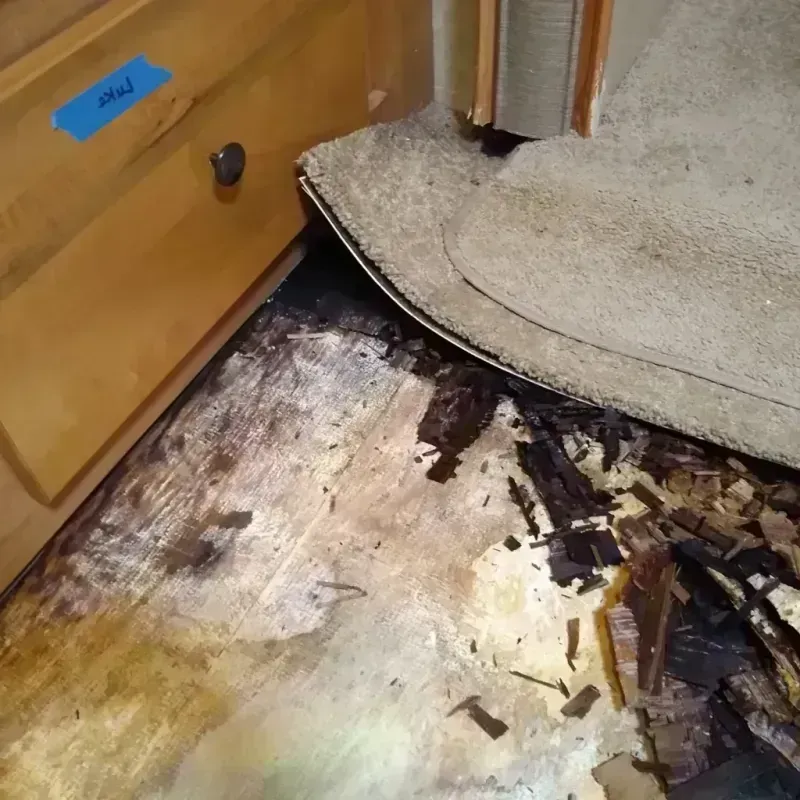 Best Wood Floor Water Damage Service in Chatham, NY